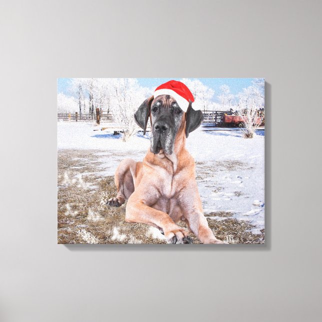 Niedlicher Großer Däne Hund sitzend im Schneehuhhu Leinwanddruck (Vorderseite)