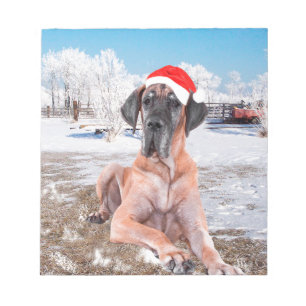 Niedlicher Großer Däne Hund sitzend im Schneehuhhu Notizblock