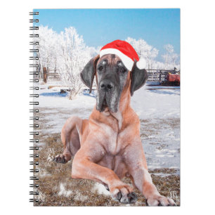 Niedlicher Großer Däne Hund sitzend im Schneehuhhu Notizblock