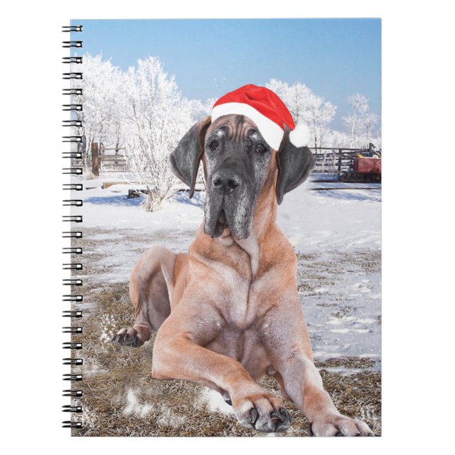 Niedlicher Großer Däne Hund sitzend im Schneehuhhu Notizblock (Vorderseite)