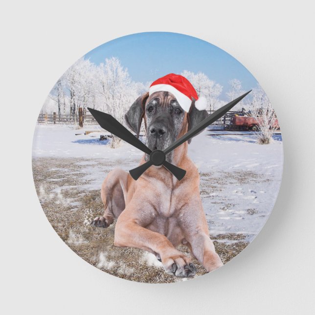 Niedlicher Großer Däne Hund sitzend im Schneehuhhu Runde Wanduhr (Vorderseite)