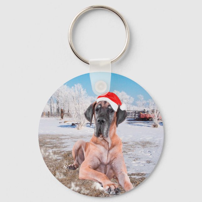 Niedlicher Großer Däne Hund sitzend im Schneehuhhu Schlüsselanhänger (Vorderseite)