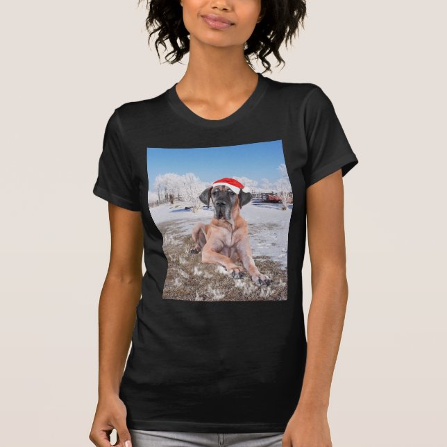 Niedlicher Großer Däne Hund sitzend im Schneehuhhu T-Shirt (Vorderseite)