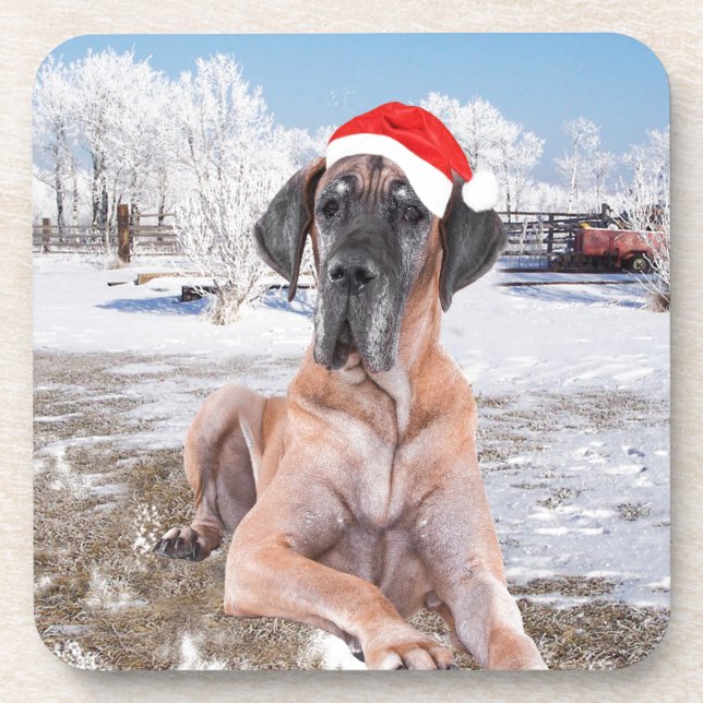 Niedlicher Großer Däne Hund sitzend im Schneehuhhu Untersetzer (Vorderseite)