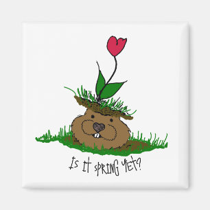 Niedlicher Groundhog auf der Suche nach Frühling Magnet