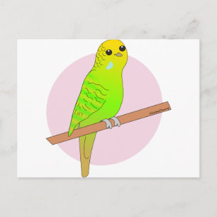 Niedlicher Grüner Budgie Postkarte