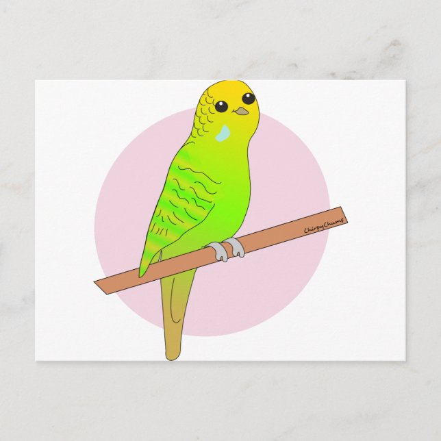 Niedlicher Grüner Budgie Postkarte (Vorderseite)