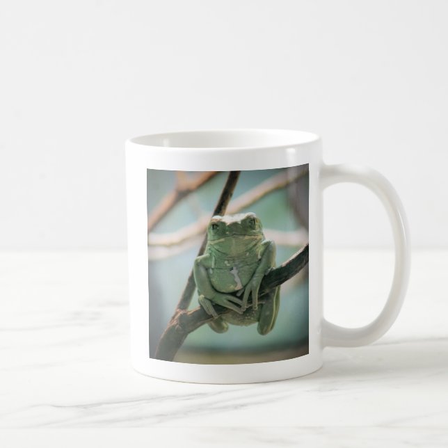 Niedlicher grüner Frosch auf einer Zweigniederlass Kaffeetasse (Rechts)