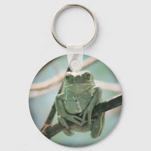 Niedlicher grüner Frosch auf einer Zweigniederlass Schlüsselanhänger