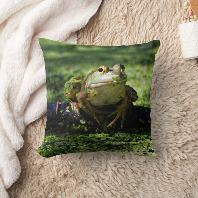 Niedlicher grüner Frosch schlägt eine Pose auf dem Kissen (Decke)