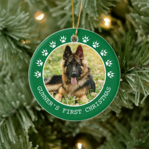 Niedlicher grüner Hundeschlitten druckt Foto Rahm Keramik Ornament