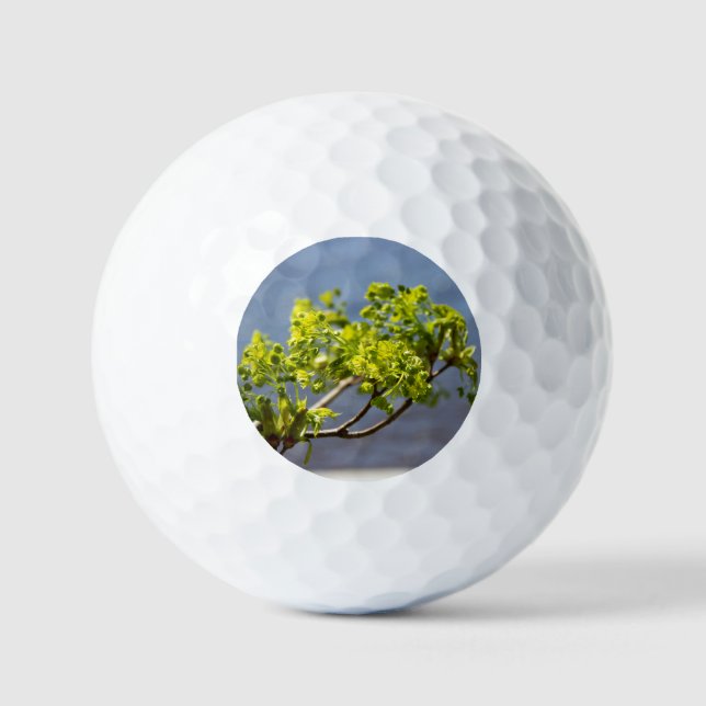 Niedlicher grüner Wind Golfball (Vorderseite)