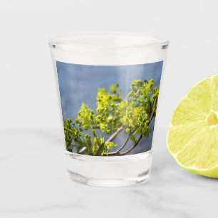 Niedlicher grüner Wind Schnapsglas
