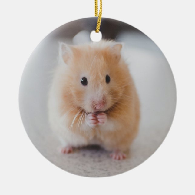 Niedlicher Hamster Keramikornament (Vorne)