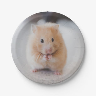 Niedlicher Hamster Pappteller