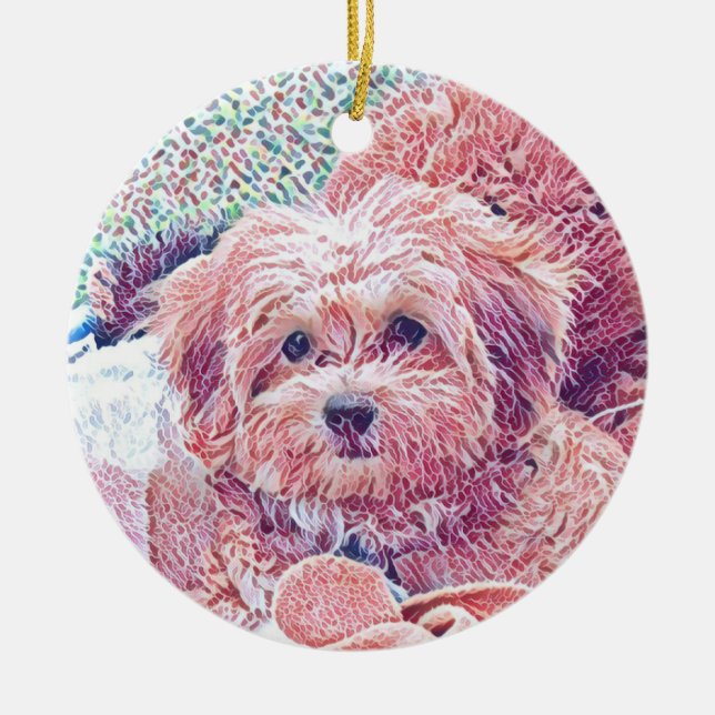 Niedlicher Havapookie Weihnachtsschmuck (Vorne)