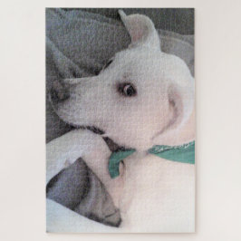 Niedlicher hellbrauner Hund mit grünem Scarf
