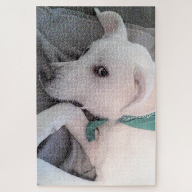 Niedlicher hellbrauner Hund mit grünem Scarf (Vertikal)
