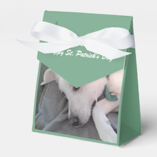 Niedlicher hellbrauner Hund mit grünem Scarf Geschenkschachtel