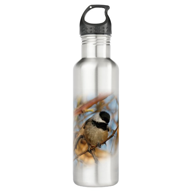 Niedlicher hoffnungsvoller Schwarzkicherling-Songb Edelstahlflasche (Vorderseite)