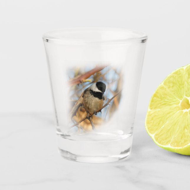 Niedlicher hoffnungsvoller Schwarzkicherling-Songb Schnapsglas (Vorderseite)