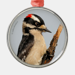 Niedlicher Holzspecht auf Obstbaum Ornament Aus Metall