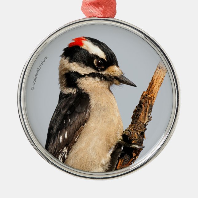 Niedlicher Holzspecht auf Obstbaum Ornament Aus Metall (Vorne)
