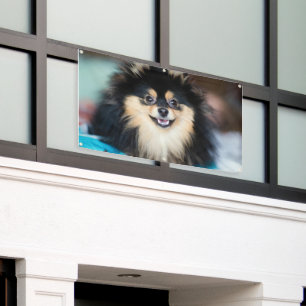 Niedlicher Hund beim Outdoor-Basteln mit Ösen Banner
