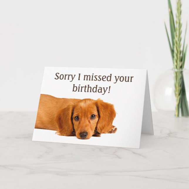 Niedlicher Hund Belated Birthday Karte (Vorderseite)