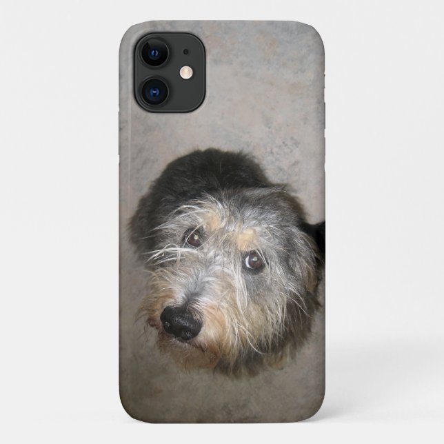 Niedlicher Hund Case-Mate iPhone Hülle (Rückseite)