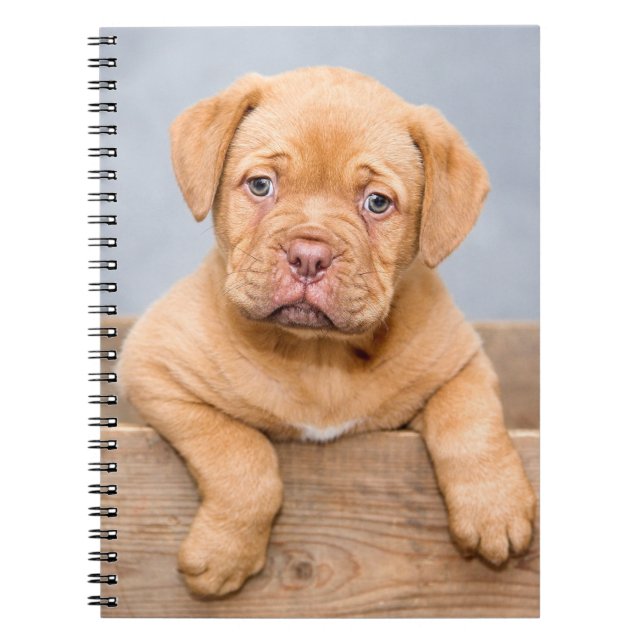 Niedlicher Hund De Bordeaux Welpenhund Notizblock (Vorderseite)