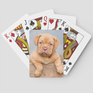 Niedlicher Hund De Bordeaux Welpenhund Spielkarten