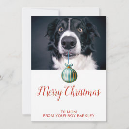 Niedlicher Hund Foto Frohe Weihnachten Mama