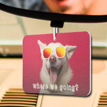 Niedlicher Hund Foto Luftkühler