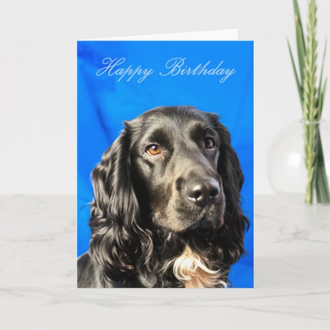 Niedlicher Hund Geburtskarte Karte (Vorderseite)