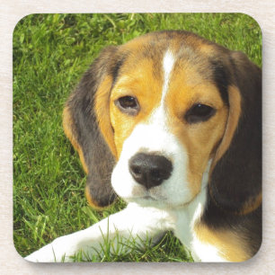 Niedlicher Hund Getränkeuntersetzer