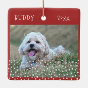 Niedlicher Hund Haustier 2 Fotos Star Muster Weihn Keramikornament