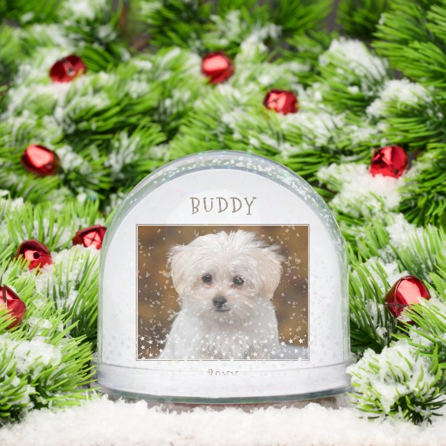 Niedlicher Hund Haustier 2 Fotos Star Muster Weihn Schneekugeln (Weihnachten)