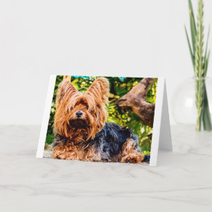 Niedlicher Hund Haustier Yorkie Peace Liebe Reisez Dankeskarte