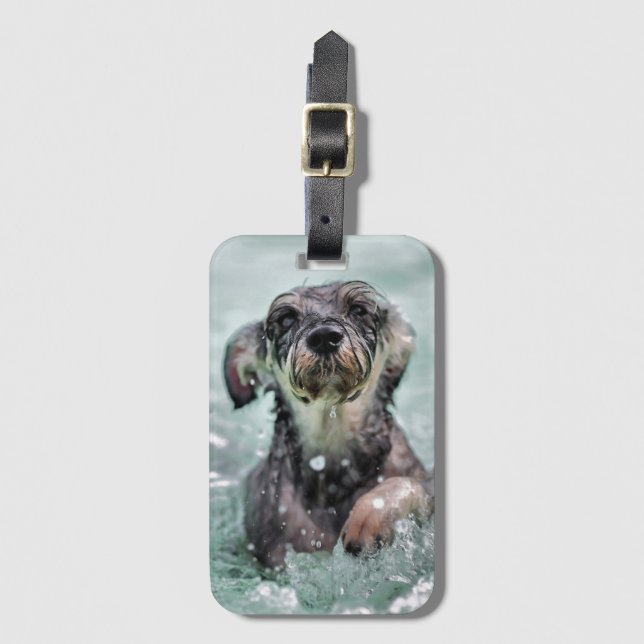 Niedlicher Hund Hunde Schwimmen Gepäckanhänger (Vorderseite Vertikal)