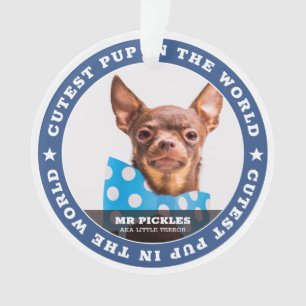 Niedlicher Hund im Welt-Hunde-Heimtier-Foto Ornament