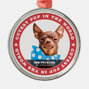 Niedlicher Hund im Welt-Hunde-Heimtier-Foto Ornament Aus Metall