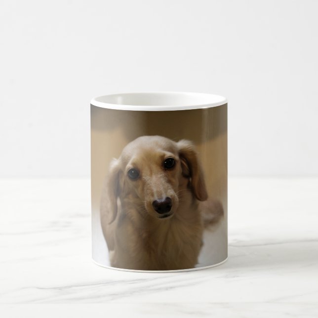 Niedlicher Hund Kaffeetasse (Mittel)