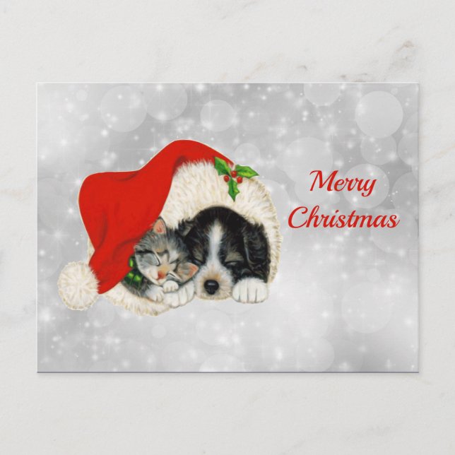 Niedlicher Hund Katze Weihnachtsfeiern Postkarte (Vorderseite)