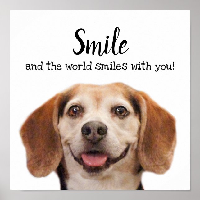 Niedlicher Hund lächelnd Foto Lächeln Zitat Beagle Poster (Vorne)
