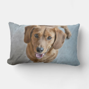 Niedlicher Hund Lendenkissen