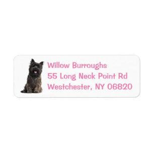 Niedlicher Hund Lover Cairn Terrier