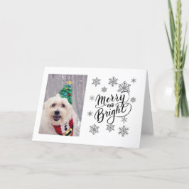 Niedlicher Hund Maltese Bichon Weihnachtskarte Feiertagskarte
