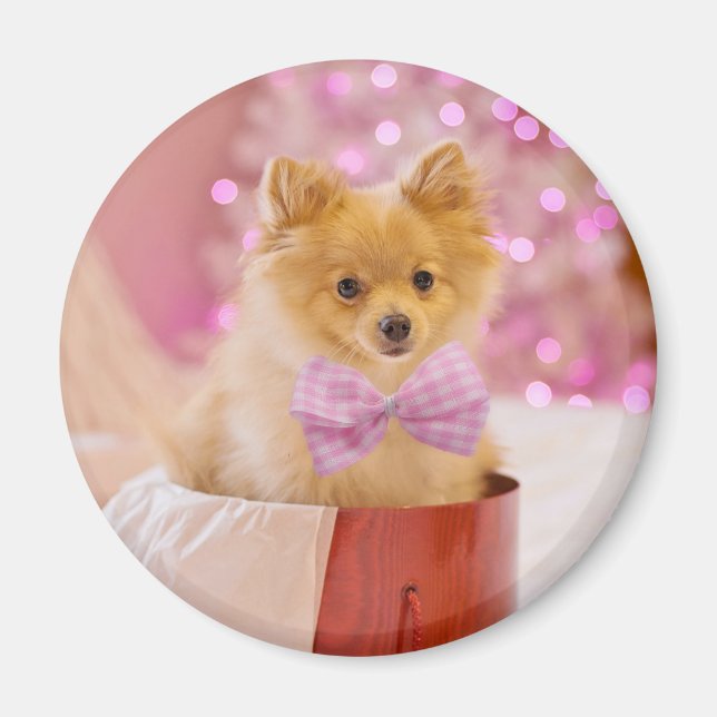 Niedlicher Hund mit Pink Bow Weihnachts-Foto Magnet (Vorne)