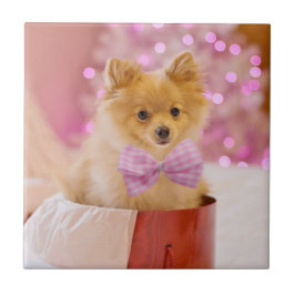 Niedlicher Hund mit Pink Bow Weihnachtsfoto Fliese